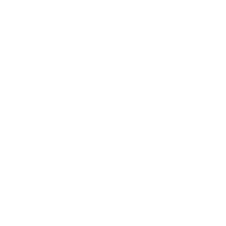 Oscan Elevators - Your Trusted Partner in Elevation